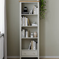 Arlyn Painted Large Bookcase