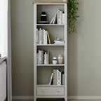 Arlyn Painted Large Bookcase